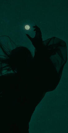 Genderfluid Genderfluid Flag